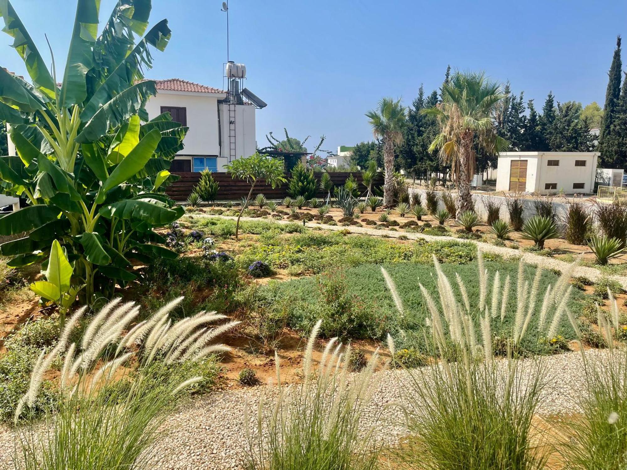 Sea View Suites By The Coast Famagusta  Eksteriør billede